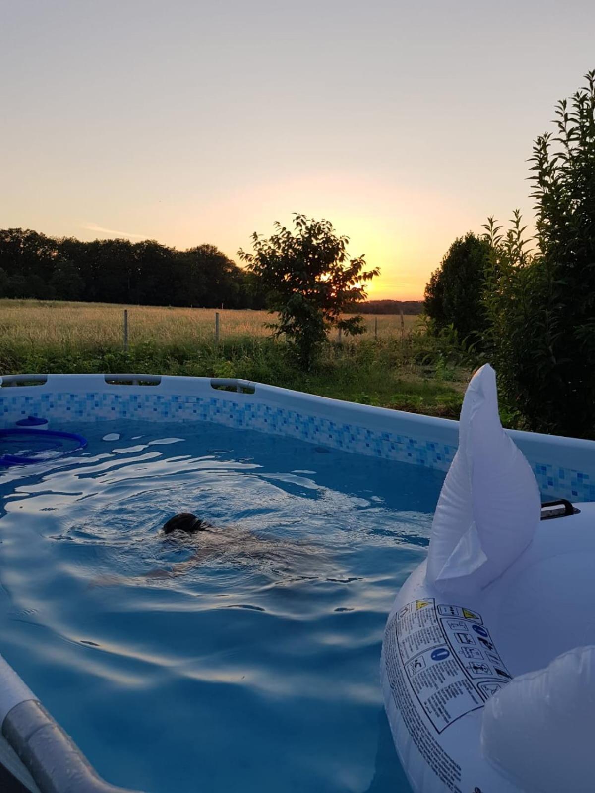 Gite 4 Pers, Jacuzzi, Piscine, Proche Futuroscope, Calme Et Nature A La Roche Posay לה רוש-פוזה מראה חיצוני תמונה