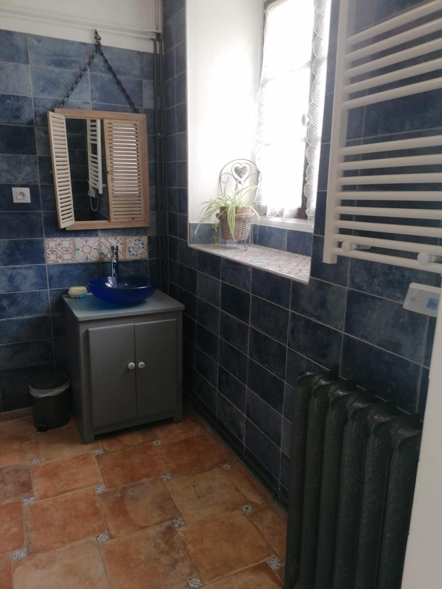 Gite 4 Pers, Jacuzzi, Piscine, Proche Futuroscope, Calme Et Nature A La Roche Posay לה רוש-פוזה מראה חיצוני תמונה