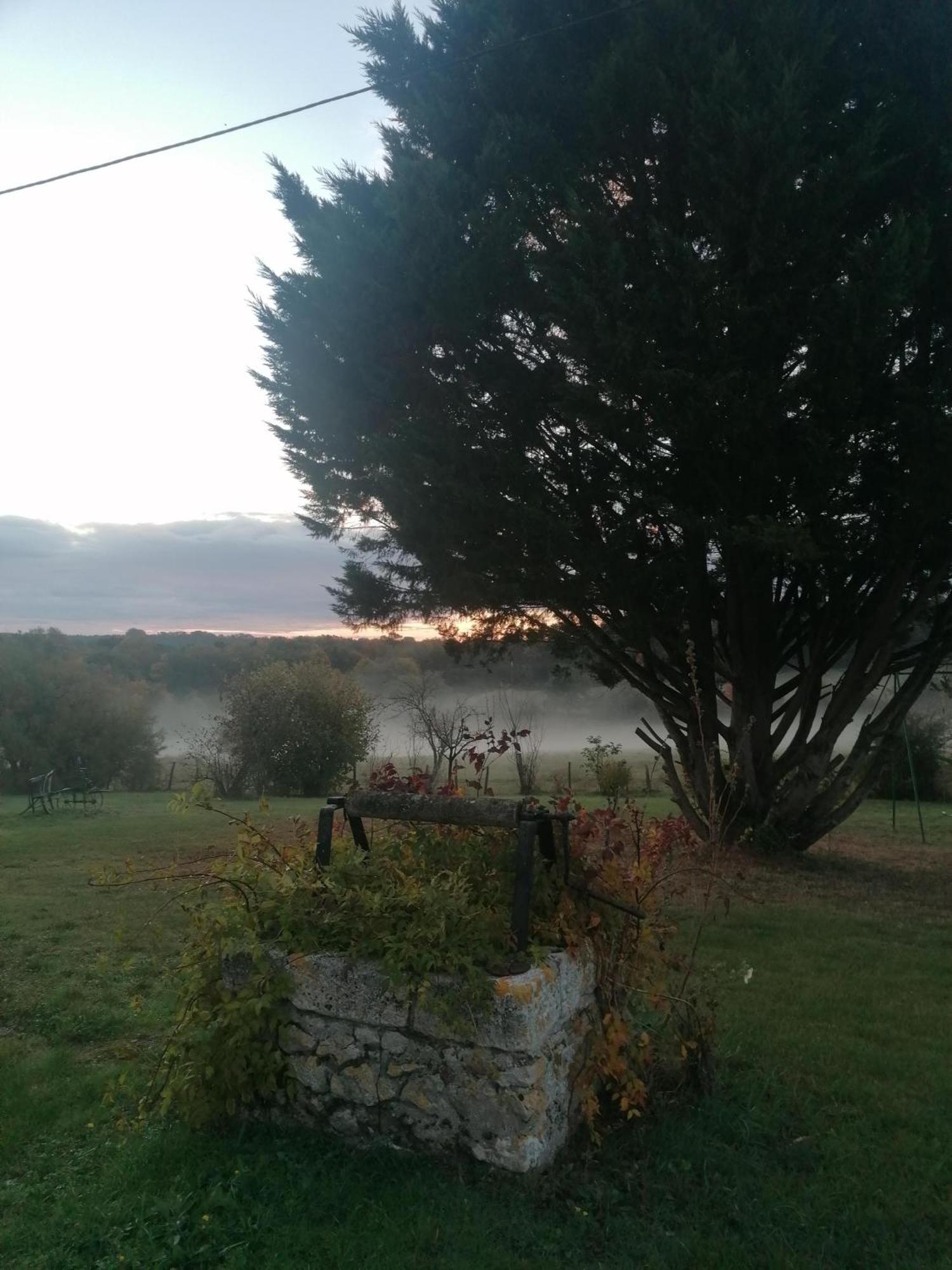 Gite 4 Pers, Jacuzzi, Piscine, Proche Futuroscope, Calme Et Nature A La Roche Posay לה רוש-פוזה מראה חיצוני תמונה