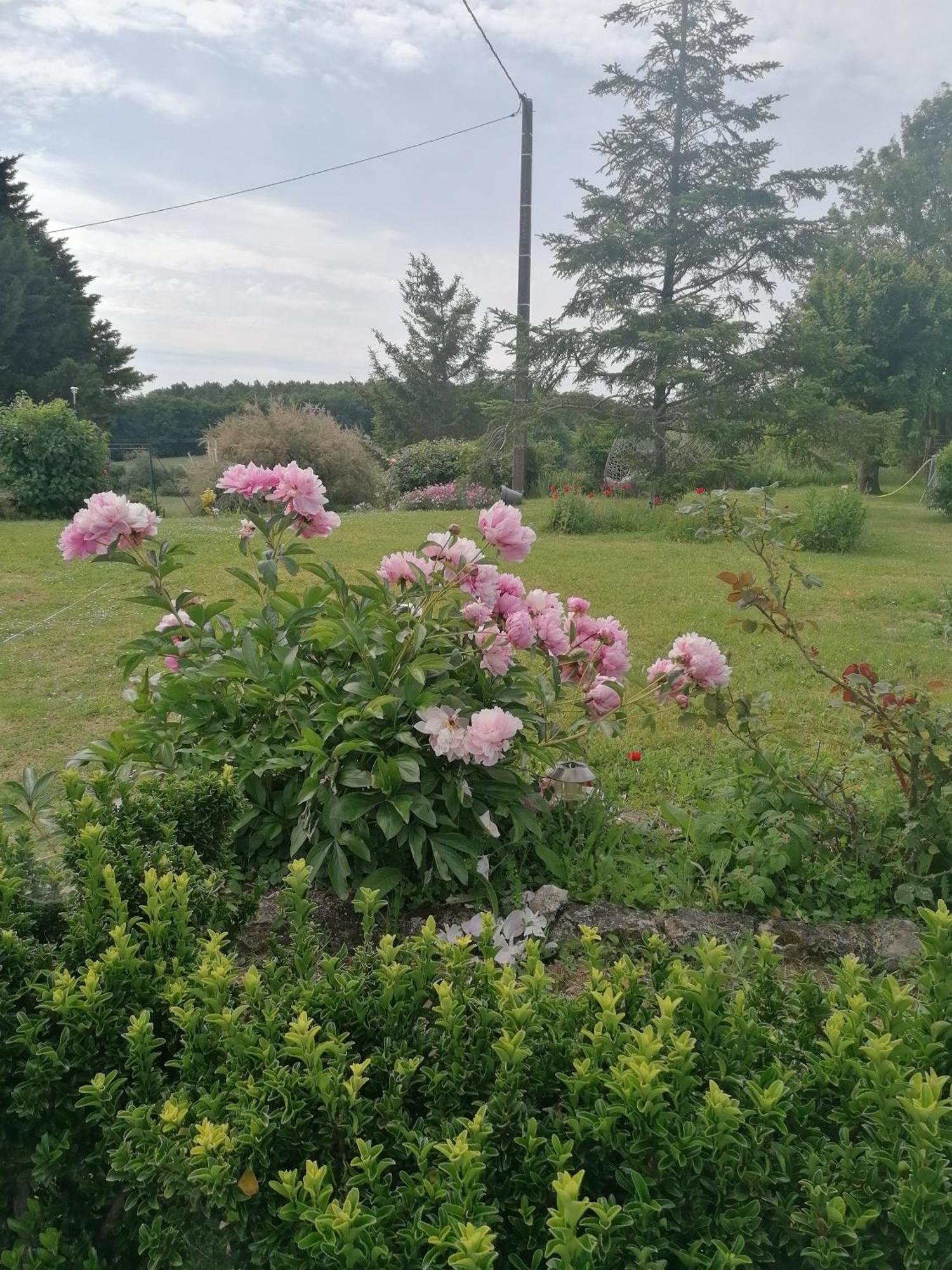 הוילה Charmante Maison, Calme Et Nature A La Roche Posay מראה חיצוני תמונה