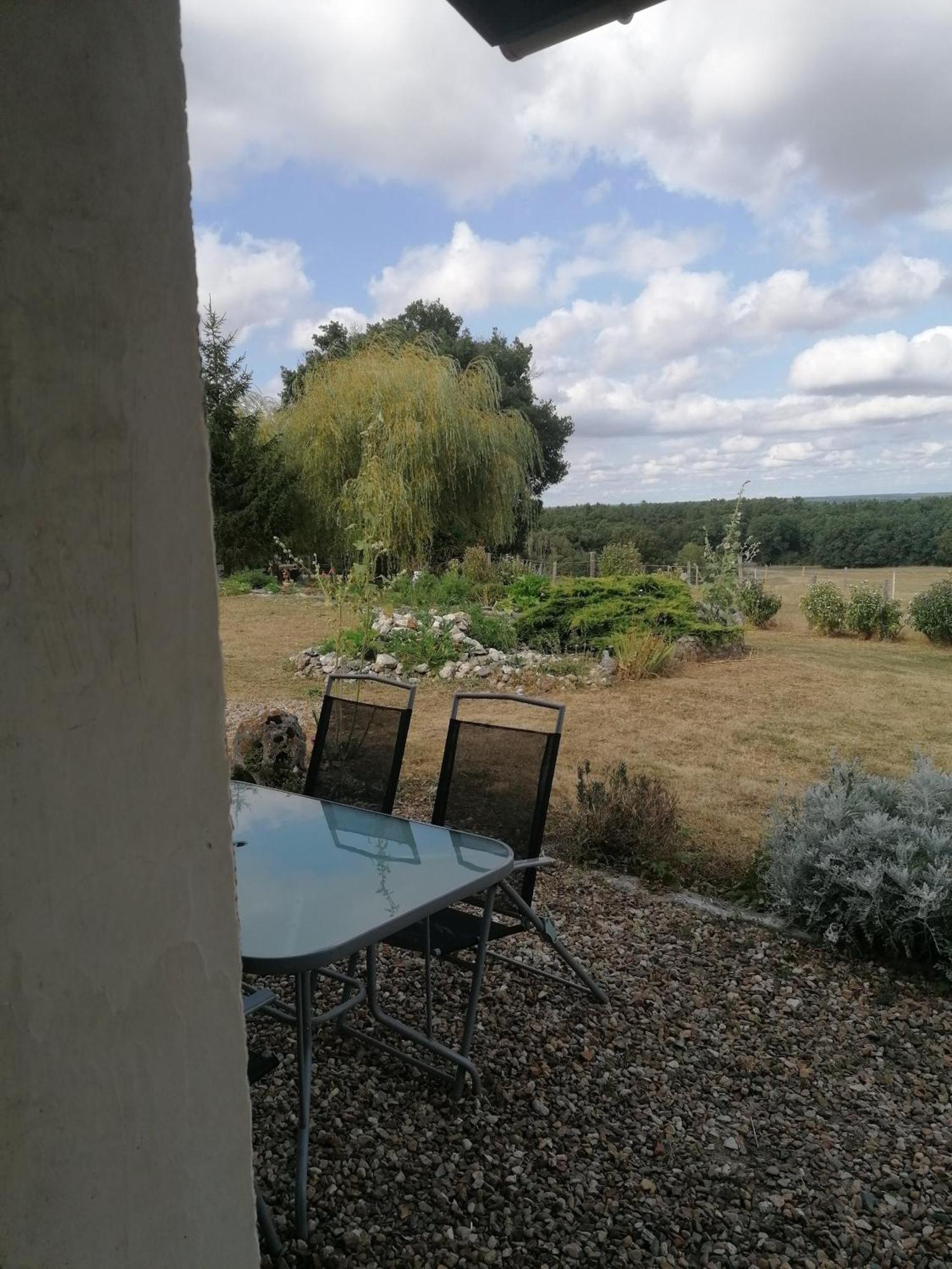 Gite 4 Pers, Jacuzzi, Piscine, Proche Futuroscope, Calme Et Nature A La Roche Posay לה רוש-פוזה מראה חיצוני תמונה