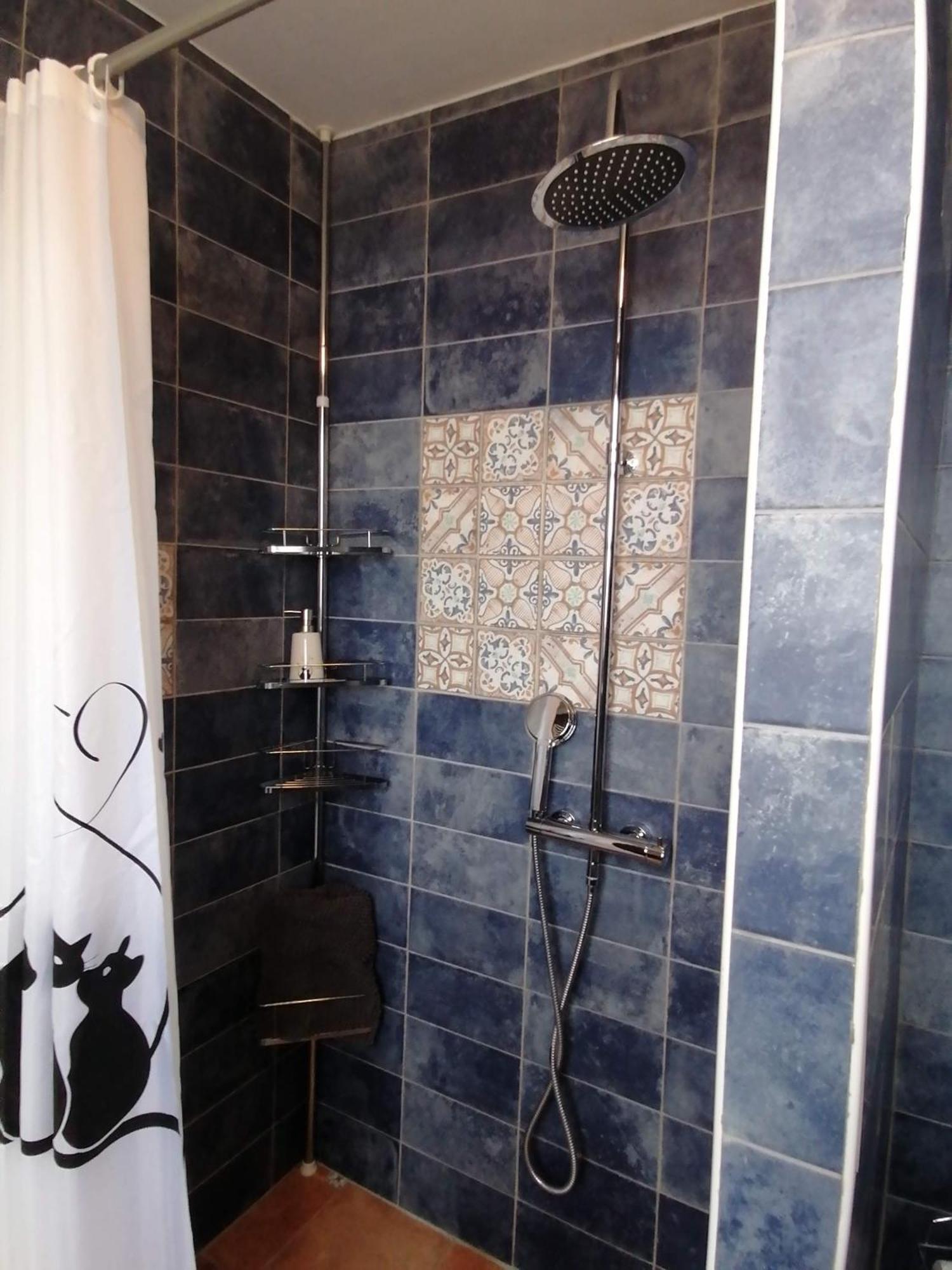 Gite 4 Pers, Jacuzzi, Piscine, Proche Futuroscope, Calme Et Nature A La Roche Posay לה רוש-פוזה מראה חיצוני תמונה