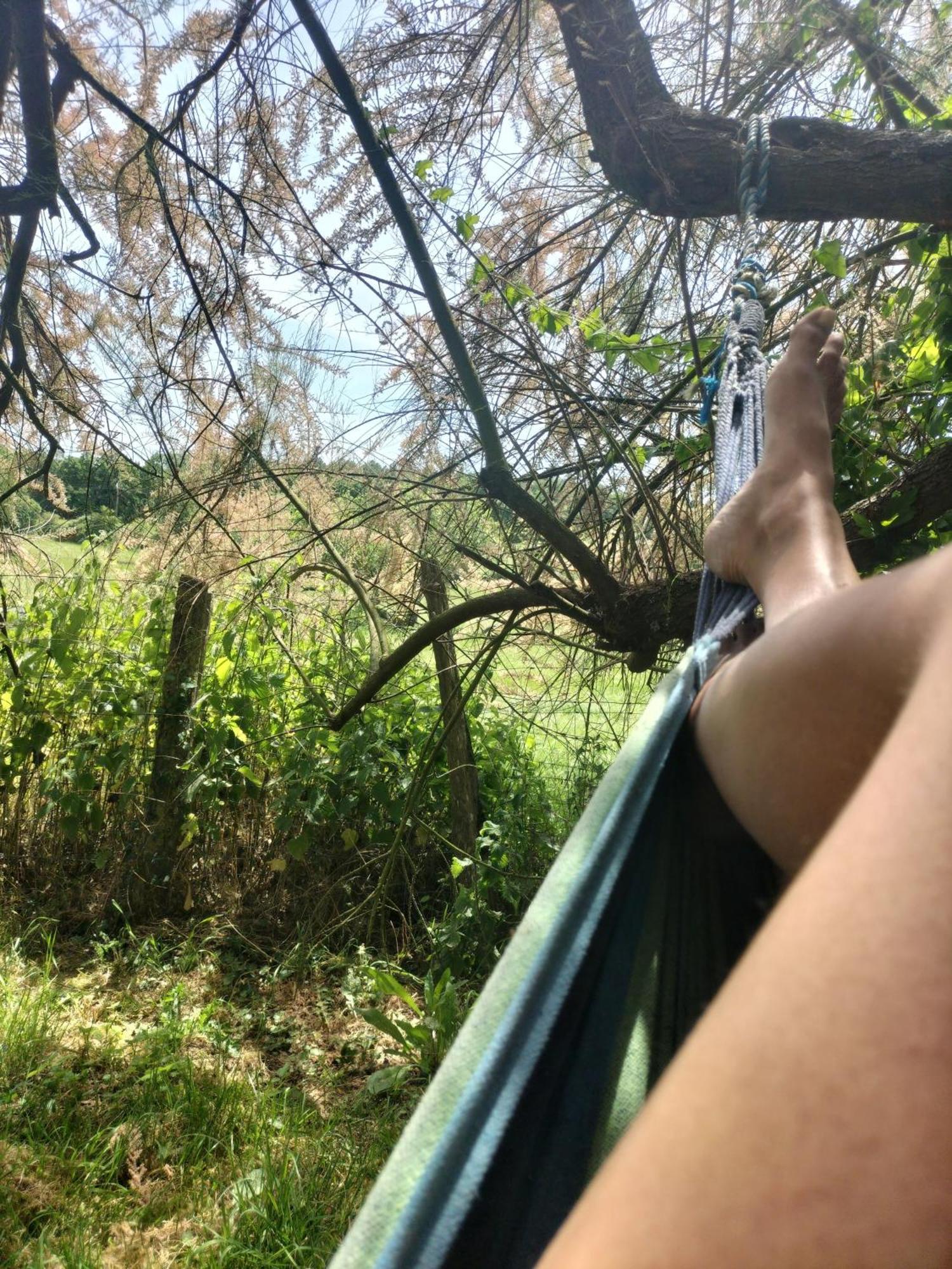 Gite 4 Pers, Jacuzzi, Piscine, Proche Futuroscope, Calme Et Nature A La Roche Posay לה רוש-פוזה מראה חיצוני תמונה
